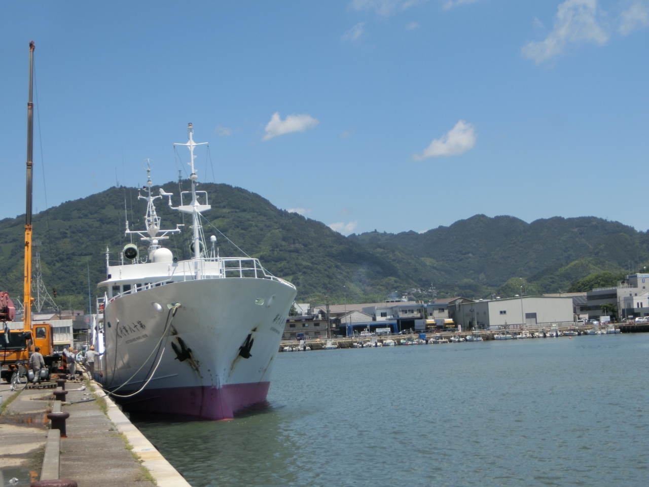 Yaizu Fishing Port